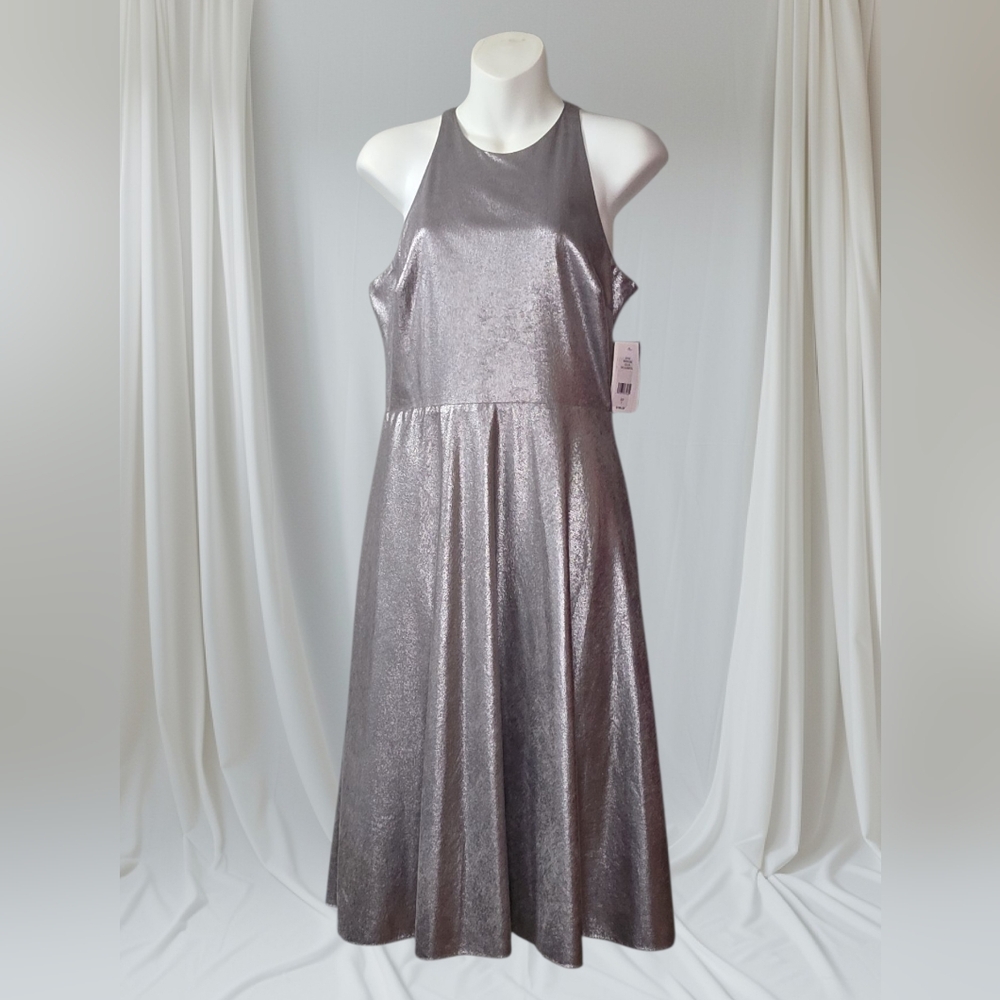 Elegant Silver Sleeveless Dress For The Holidays